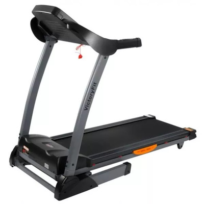  VictoryFit-2004 (,  4)