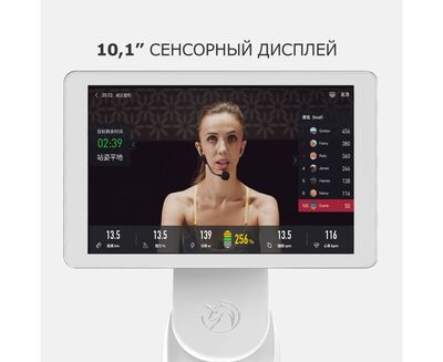  Yesoul BS3-W PRO (,  3)
