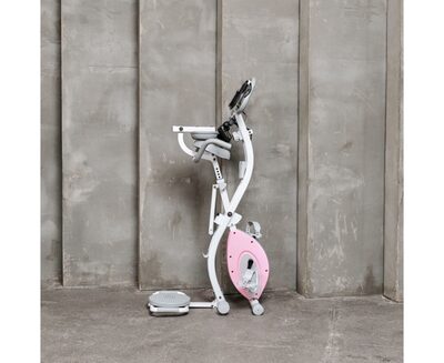  X-Bike DFC DavCreator Max PRO, - (,  29)