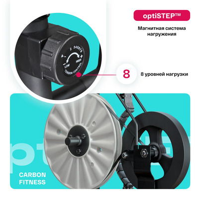    CARBON FITNESS E40 (,  3)