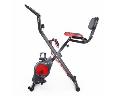  X-Bike DFC PLENY CF-917FM (,  2)
