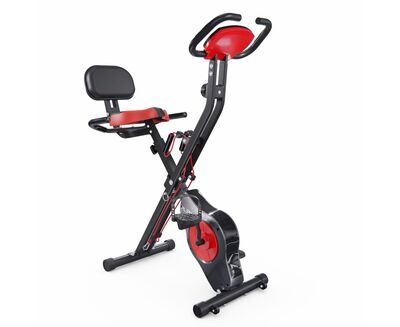  X-Bike DFC PLENY CF-917FM (,  3)