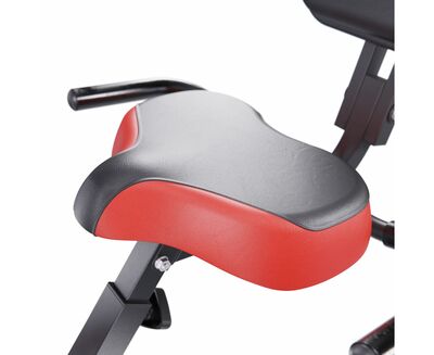  X-Bike DFC PLENY CF-917FM (,  10)