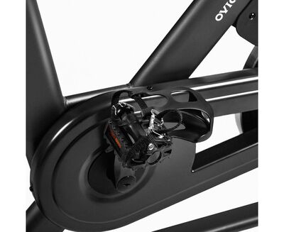 ����-���� DFC OVICX B-Q100B (����, ��� 4)