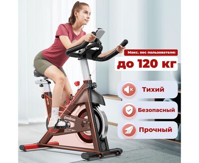 Спин-байк DFC Pooboo / магнитный, до 120 кг (вид 1) Спин-байк DFC Pooboo / магнитный, до 120 кг (фото, вид 1)