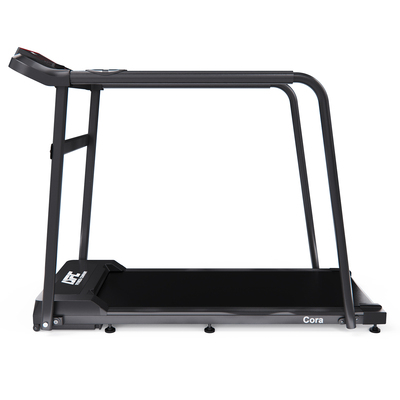 ������� ������� DFC Cora T165 (����, ��� 2)