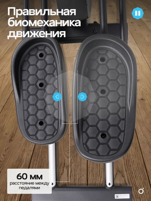 ������������� �������� �������� OXYGEN FITNESS ZENON (����, ������������� �������� �������� OXYGEN FITNESS ZENON)