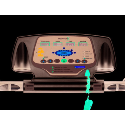  American Motion Fitness 8215 (,  1)