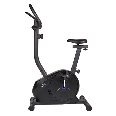  Royal Fitness RF-11, . RFIB-11 (,  2)