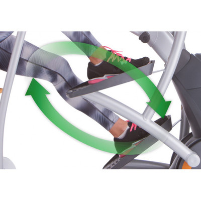    Octane XR6000 Smart (,  7)