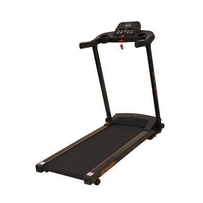   DFC KENGURY T122B (,  2)