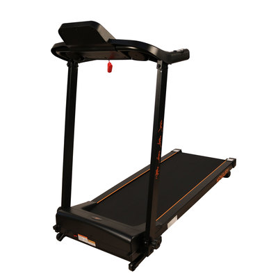   DFC KENGURY T122B (,  5)