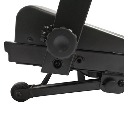   DFC KENGURY T122B (,  7)