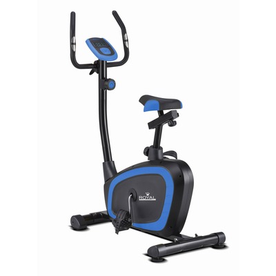  Royal Fitness . DP-B038 (,  1)