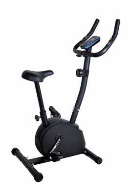   Royal Fitness, . RFIB-12 ()