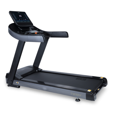  BRONZE GYM T815M