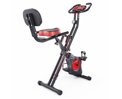  X-Bike DFC PLENY CF-917FM ()