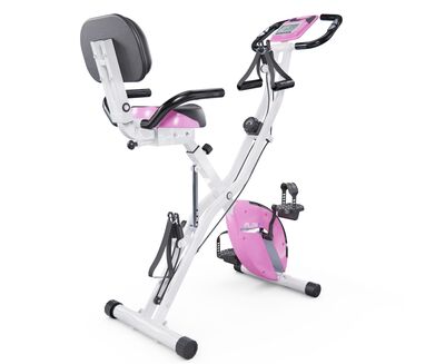  X-Bike DFC PLENY CF-917FM-2 ()