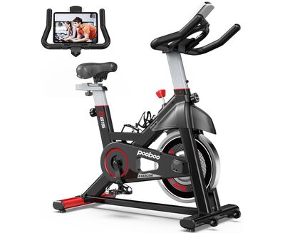 Спин-байк DFC Pooboo / магнитный, до 120 кг Спин-байк DFC Pooboo / магнитный, до 120 кг (фото)