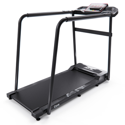 ������� ������� DFC Cora T165 (����)
