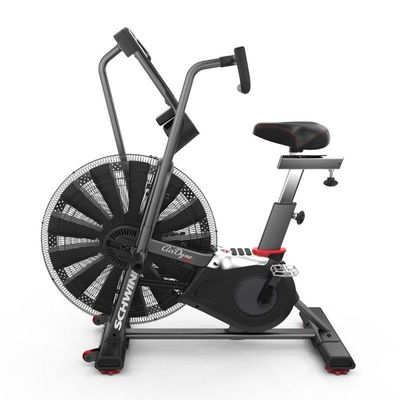  Schwinn Airdyne AD8 ()