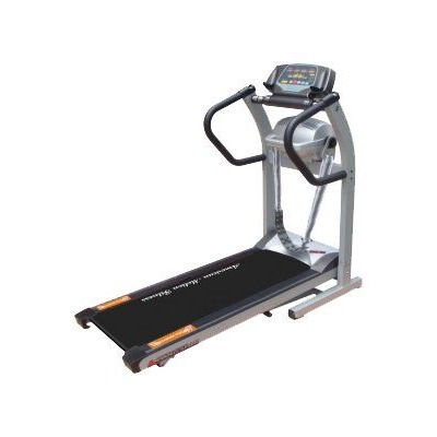   American Motion Fitness 8221S