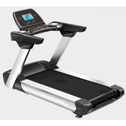  American Motion Fitness 8900