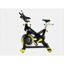  American Motion Fitness 8900S
