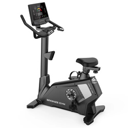 ������������ ������������ � ����������� ���������������� BRONZE GYM U1000M PRO TURBO, ������